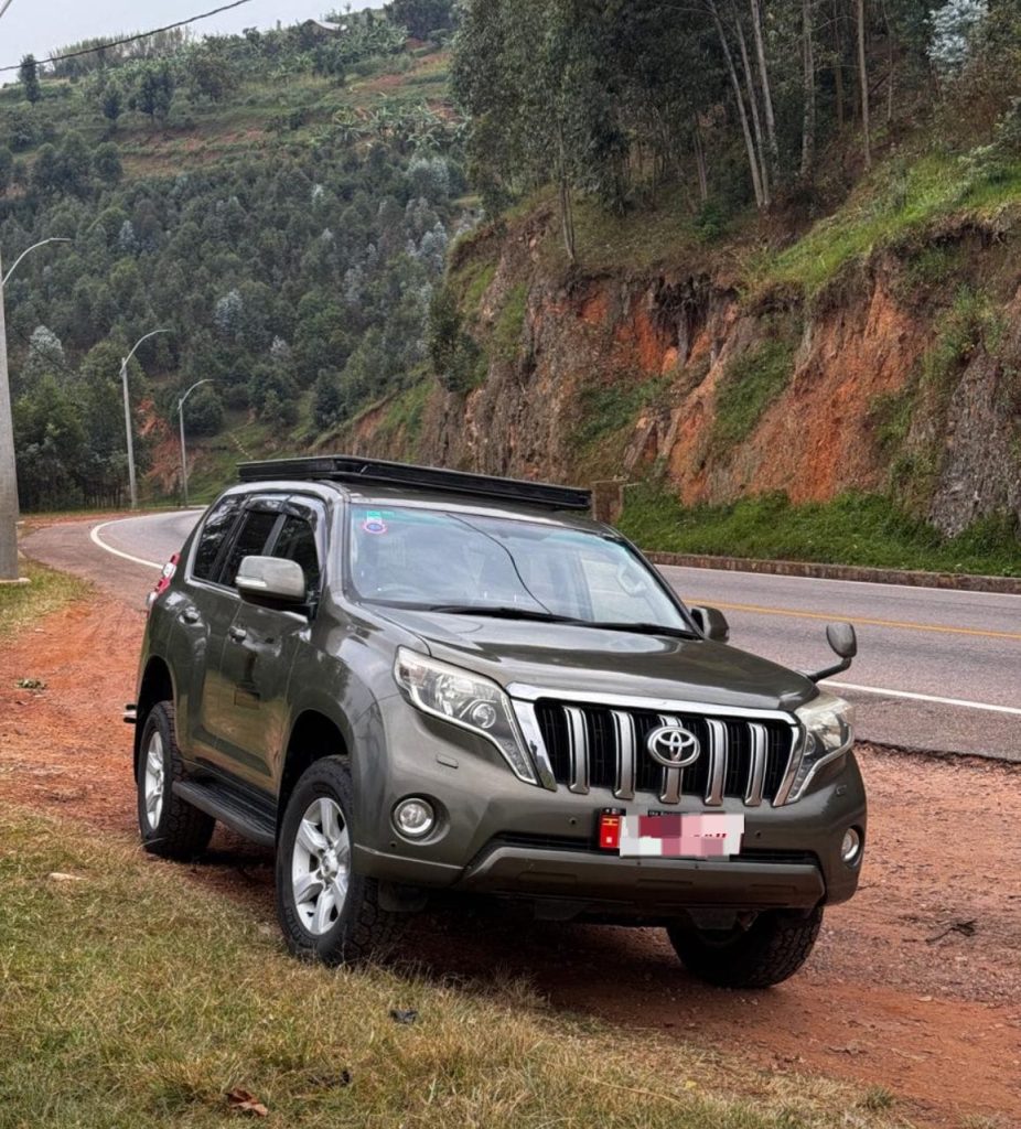 Land Cruiser TX